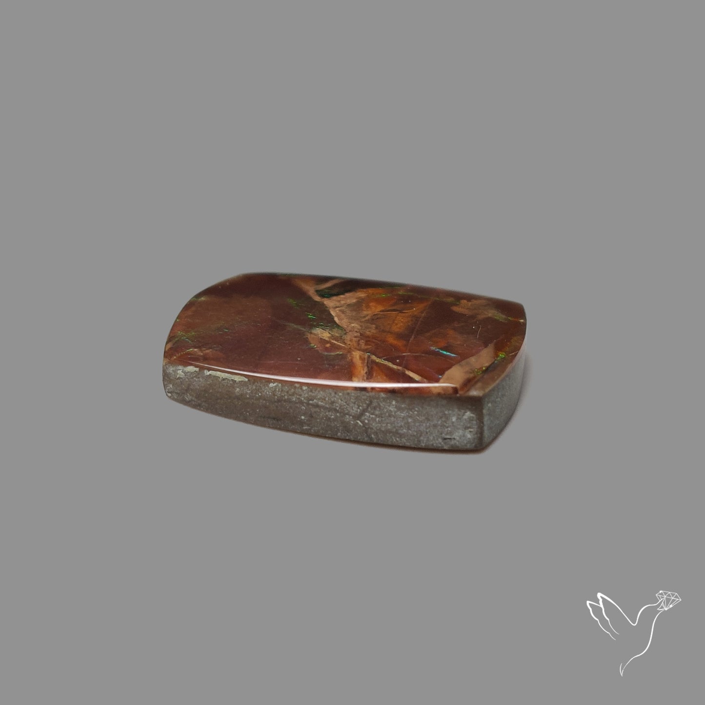 AAA Green Orange Ammolite Cabochon
