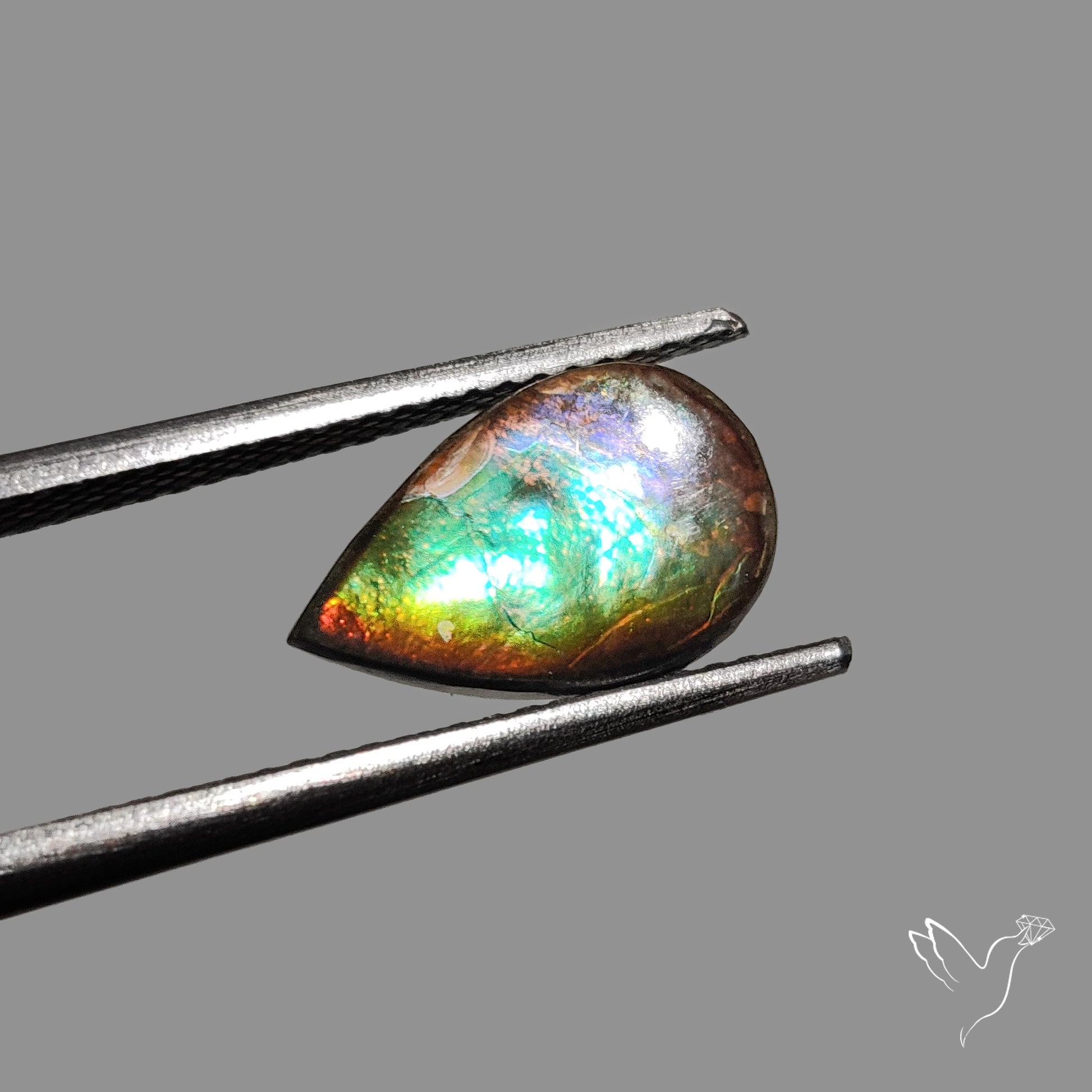 AAA Blue Green Gold Ammolite Cabochon