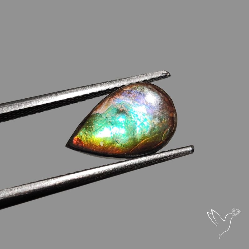 AAA Blue Green Gold Ammolite Cabochon