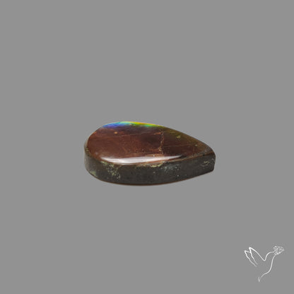 AAA Blue Green Gold Ammolite Cabochon