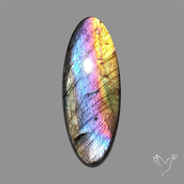 Spectrolite Cabochon