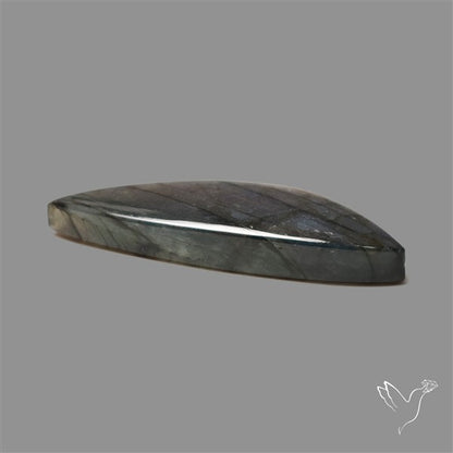 Spectrolite Cabochon