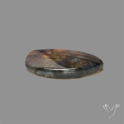 Spectrolite Cabochon