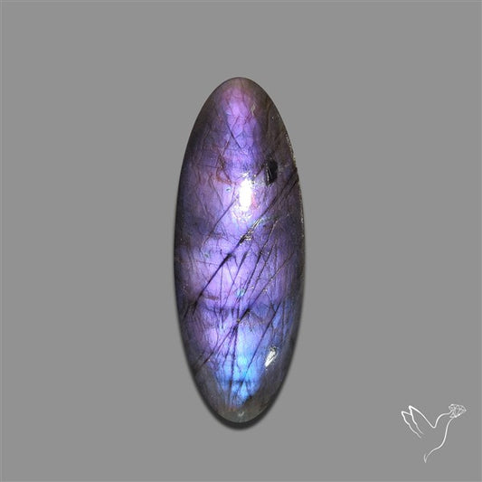 Spectrolite Cabochon