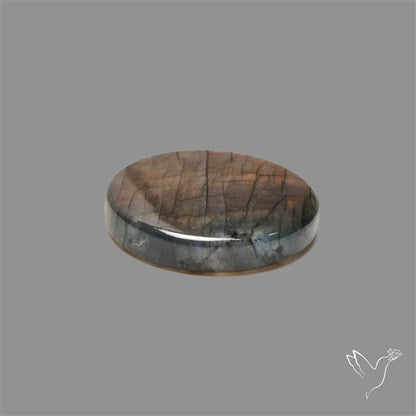 Spectrolite Cabochon
