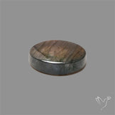 Spectrolite Cabochon