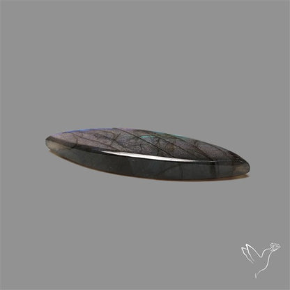 Spectrolite Cabochon