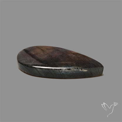 Spectrolite Cabochon