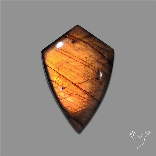 Spectrolite Cabochon