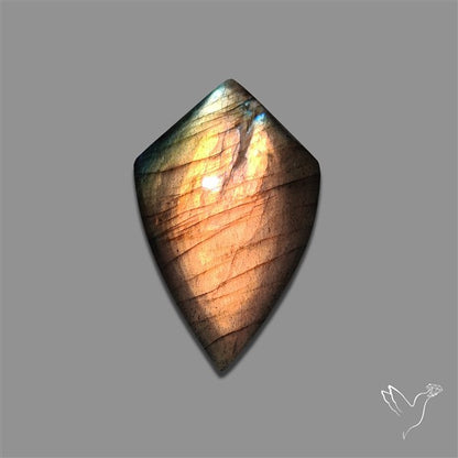 Spectrolite Cabochon