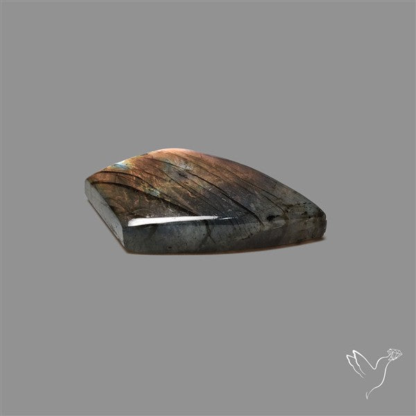 Spectrolite Cabochon