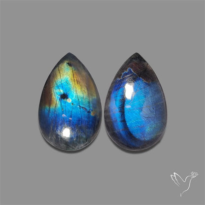 Blue Spectrolite Pair