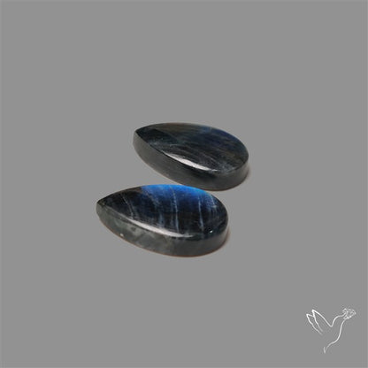 Blue Spectrolite Pair
