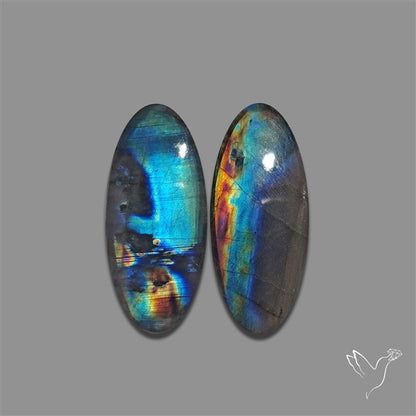 Blue Spectrolite Pair