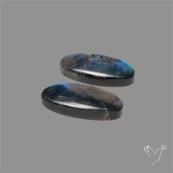 Blue Spectrolite Pair