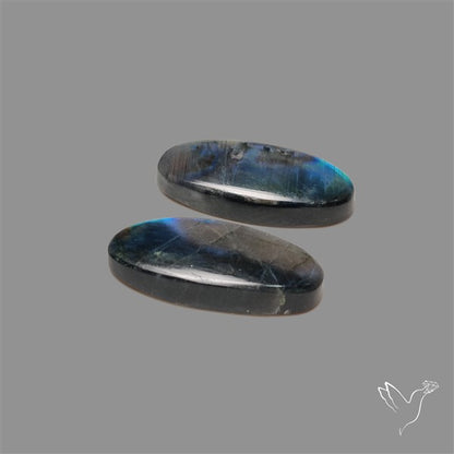 Blue Spectrolite Pair
