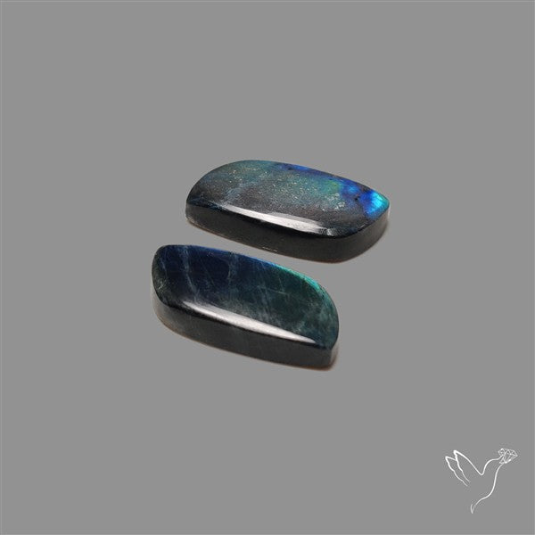 Blue Spectrolite Pair
