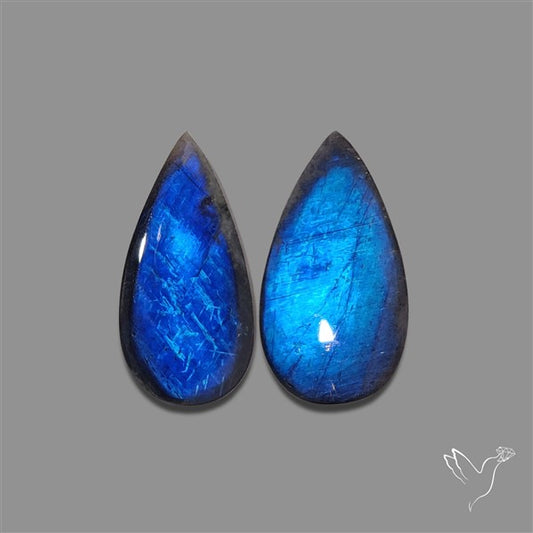 Blue Spectrolite Pair