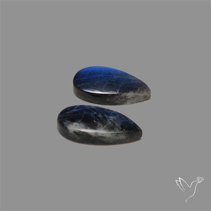 Blue Spectrolite Pair