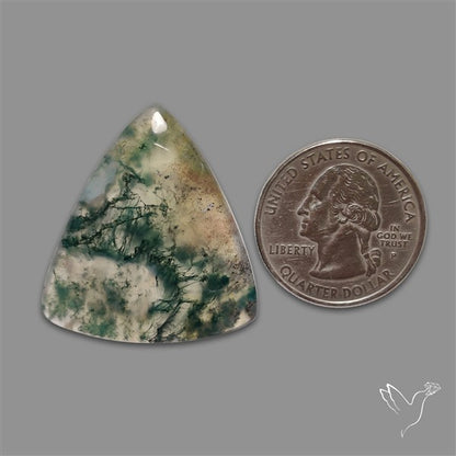 Moss Agate Cabochon