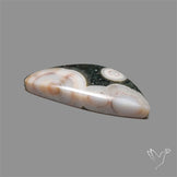 Orbicular Ocean Jasper Cabochon