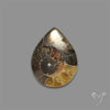 Ammonite With Pyrite Cabochon