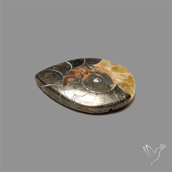 Ammonite With Pyrite Cabochon