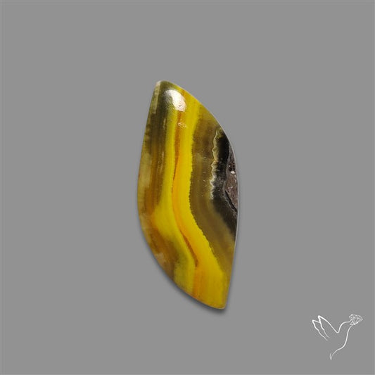 Bumble Bee Jasper Cabochon