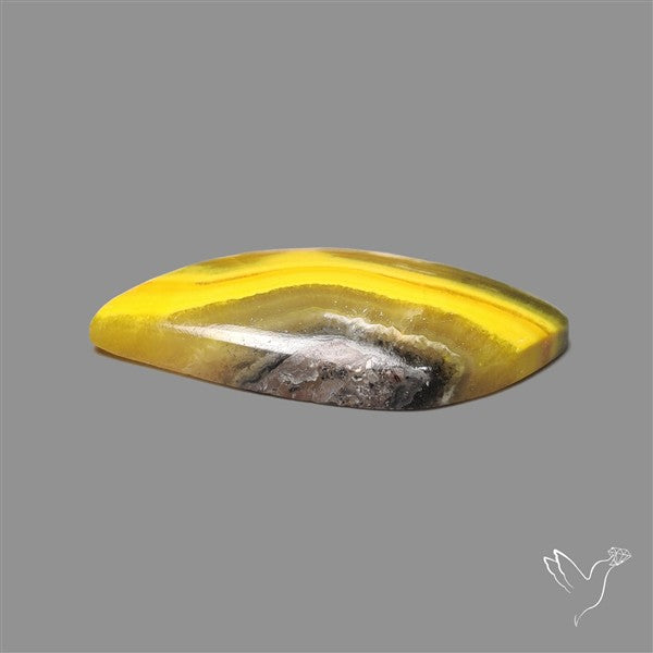 Bumble Bee Jasper Cabochon