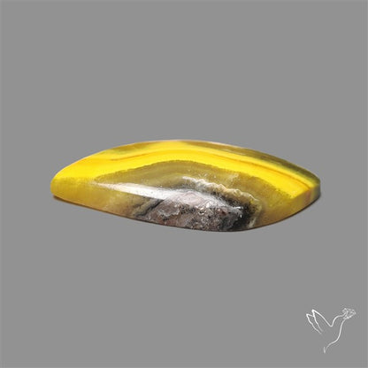 Bumble Bee Jasper Cabochon