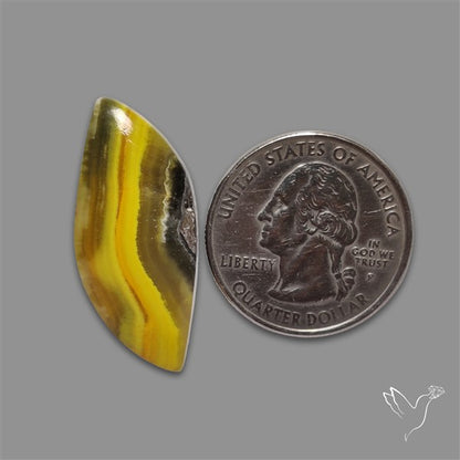 Bumble Bee Jasper Cabochon