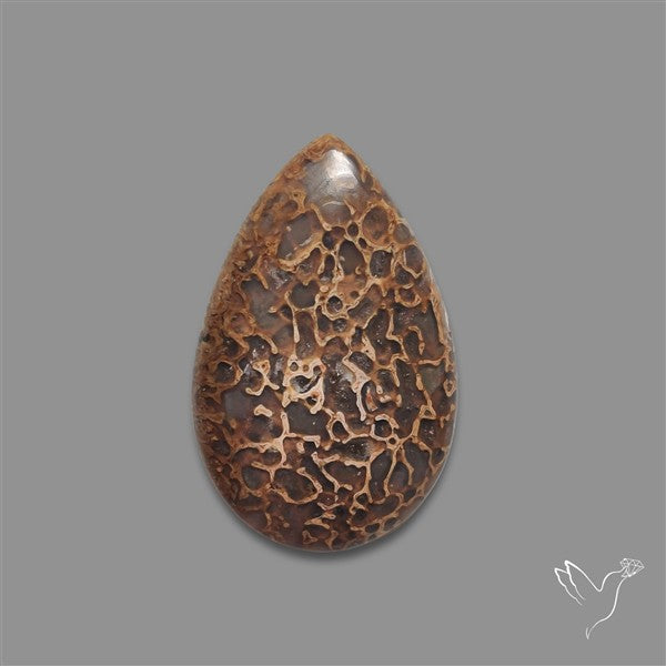Dinosaur Bone Fossil Cabochon