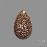 Dinosaur Bone Fossil Cabochon