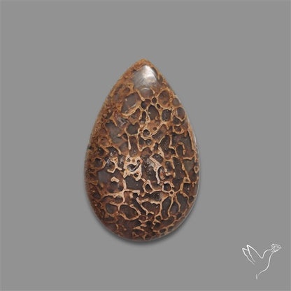 Dinosaur Bone Fossil Cabochon