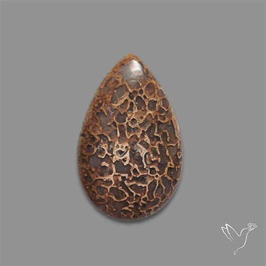 Dinosaur Bone Fossil Cabochon