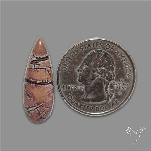 Sonoran Dendritic Rhyolite Cabochon
