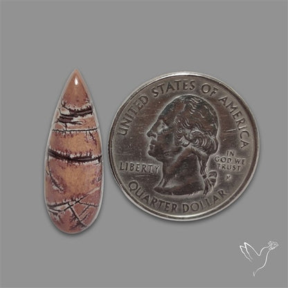 Sonoran Dendritic Rhyolite Cabochon