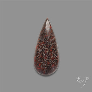 Dinosaur Bone Fossil Cabochon