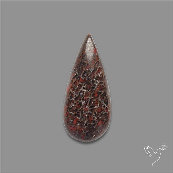 Dinosaur Bone Fossil Cabochon