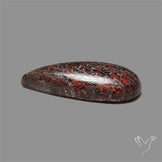 Dinosaur Bone Fossil Cabochon