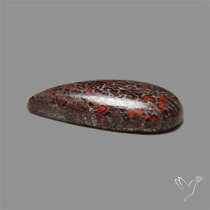 Dinosaur Bone Fossil Cabochon