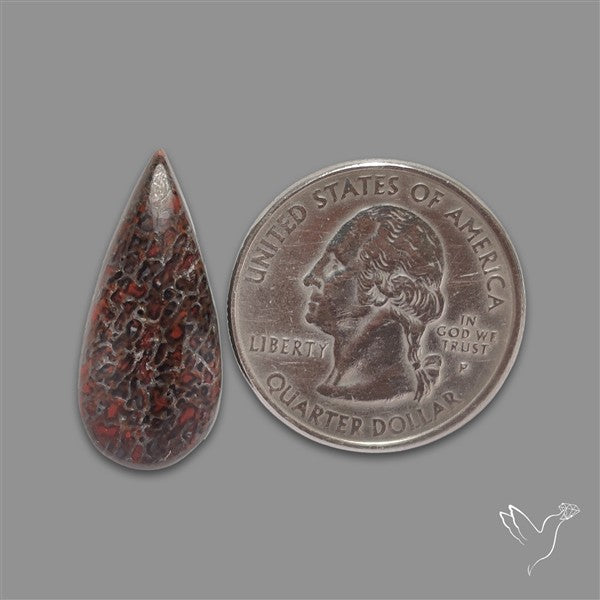 Dinosaur Bone Fossil Cabochon