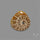 Ammonite Cabochon