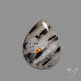 Astrophylite Cabochon