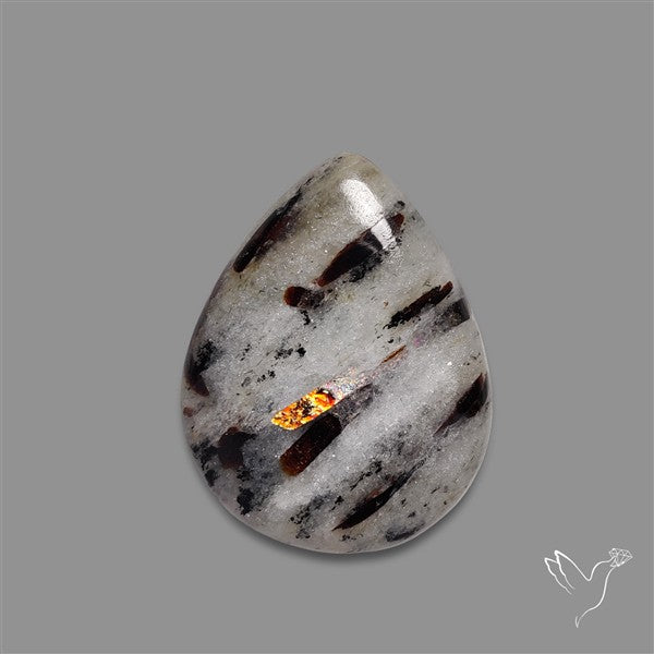 Astrophylite Cabochon