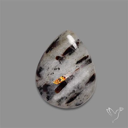 Astrophylite Cabochon