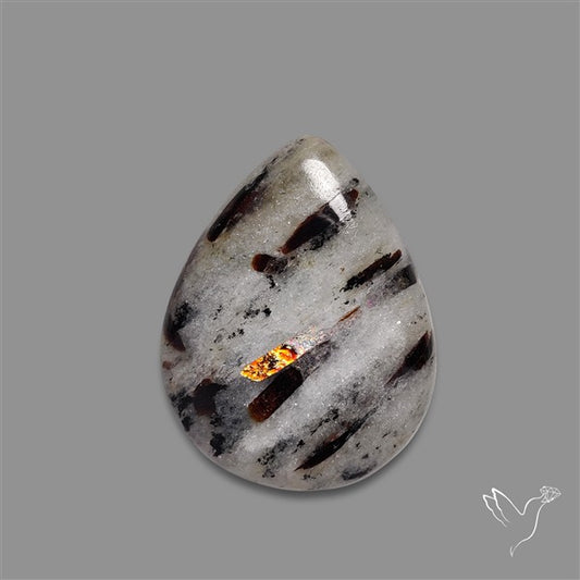 Astrophylite Cabochon