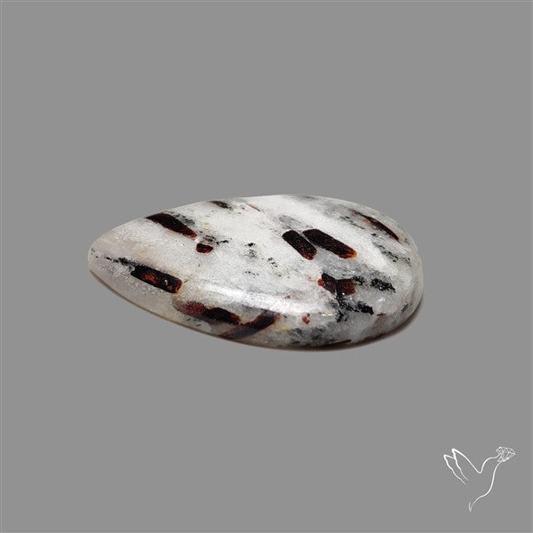 Astrophylite Cabochon
