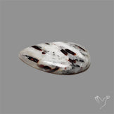 Astrophylite Cabochon