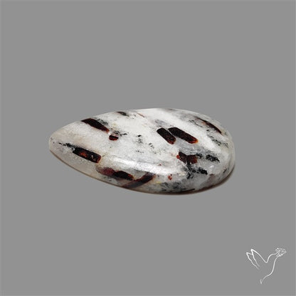 Astrophylite Cabochon